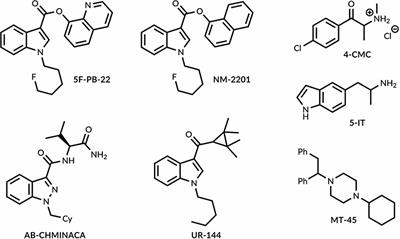 Comprehensive Protocol for the Identification and Characterization of New Psychoactive Substances in the Service of Law Enforcement Agencies